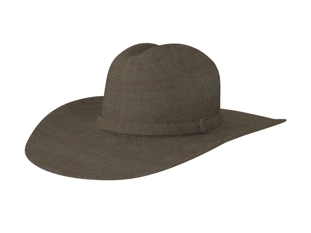 Ten-gallon hat 3d rendering