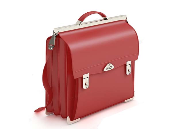 Professional briefcase for women 3d rendering