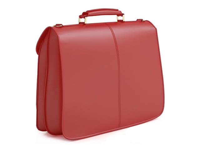 Women's business handbag 3d rendering