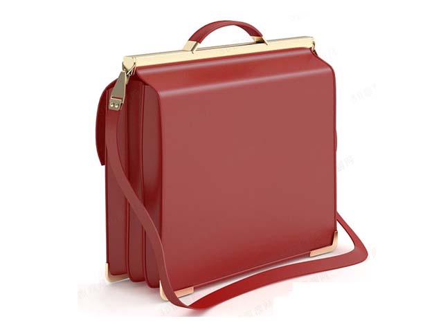Elegant women's briefcase 3d rendering