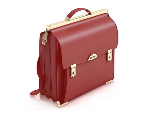 Elegant women's briefcase 3d rendering