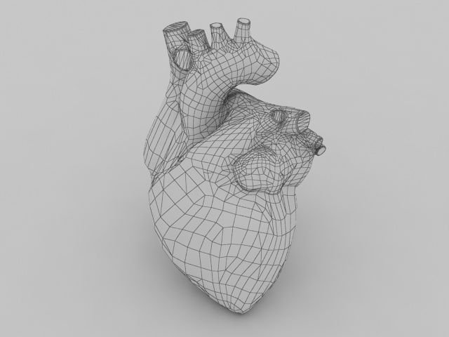 Human heart 3d rendering