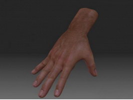 Realistic male hand 3d model preview