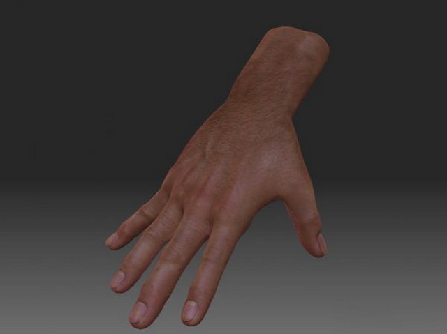 Realistic male hand 3d rendering