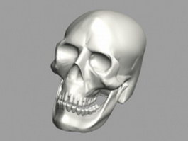 Human skull 3d model preview