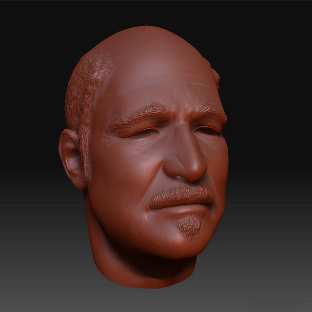 bald head reference zbrush