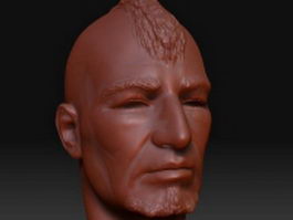 Punky man head 3d model preview