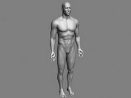 Male body base mesh 3d model preview