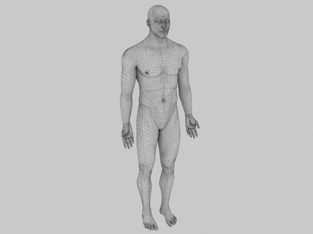 Male body base mesh 3d rendering