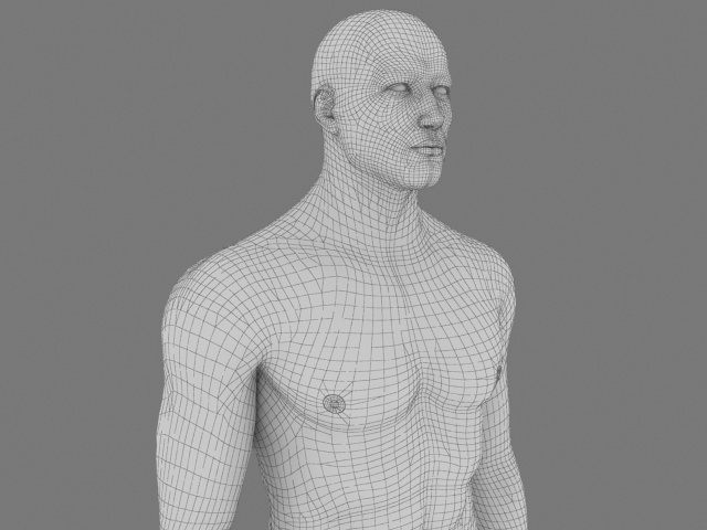 Male body base mesh 3d rendering