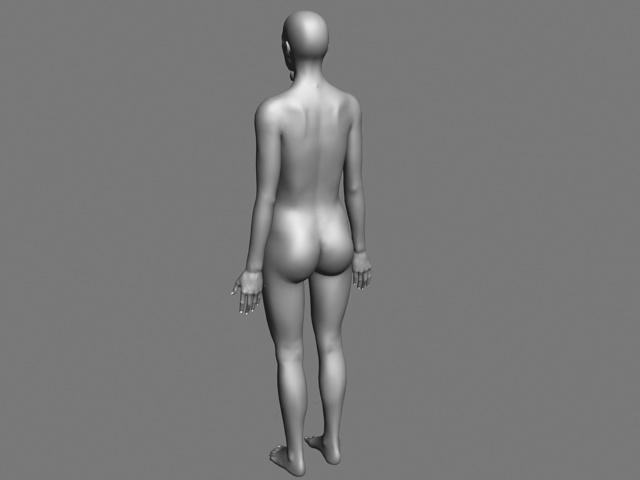 Female body base mesh 3d rendering