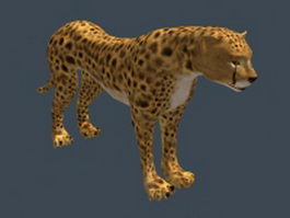 Persian leopard 3d model preview