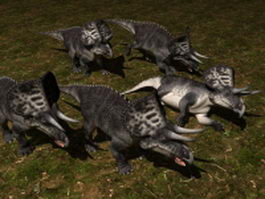 Zuniceratops dinosaur 3d model preview