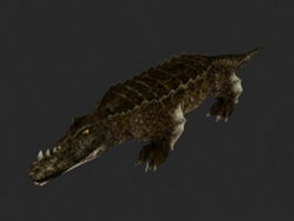 Saltwater crocodile 3d model preview