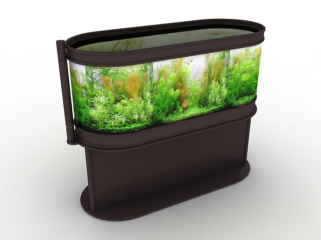 Aquarium with plants and fish 3d rendering