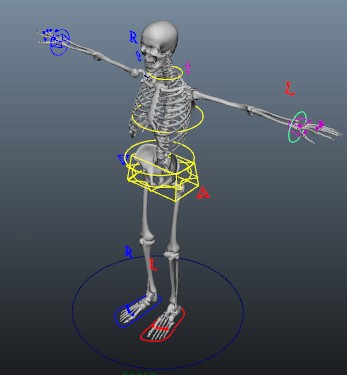 Skeleton rigging 3d rendering