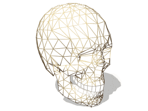 Female skull 3d rendering