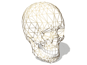 Male human skull 3d rendering