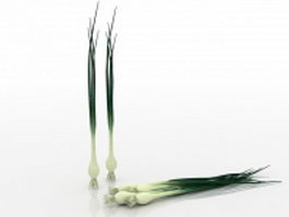 Green onion 3d model preview