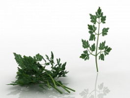 Parsley leaves 3d preview