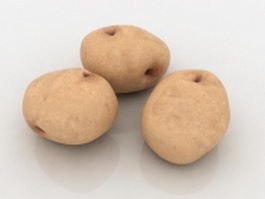 Russet potatoes 3d preview