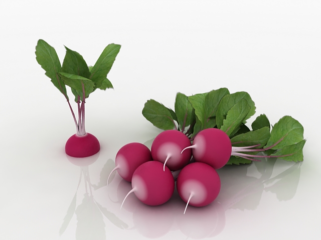 Radishes with plants 3d rendering