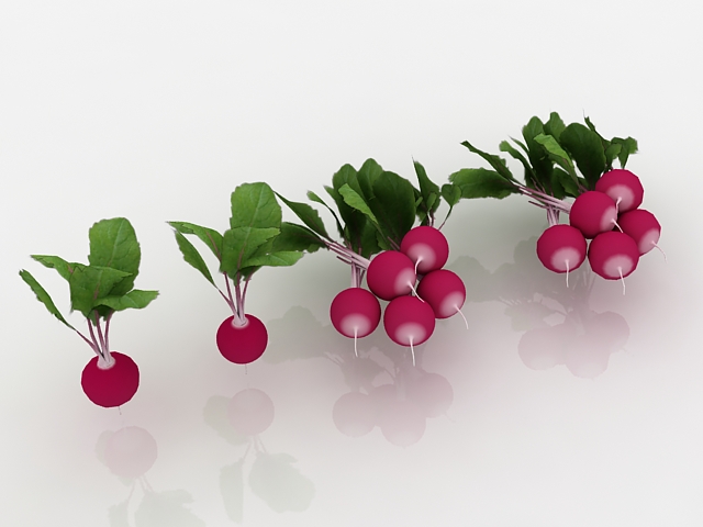 Radishes with plants 3d rendering
