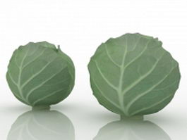 Green cabbage 3d model preview