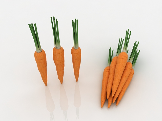 Domestic carrots 3d rendering