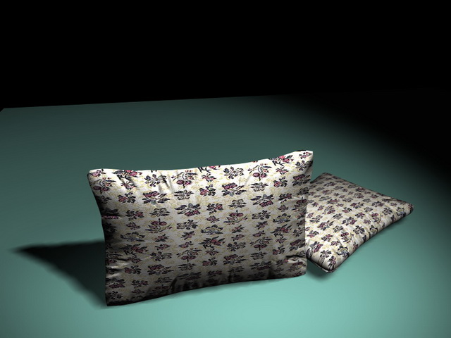 Floral sofa pillows 3d rendering