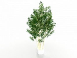 Potted bamboo plants 3d model preview