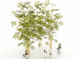 Bamboo plants for garden 3d model preview