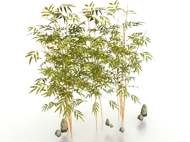 Bamboo plants for garden 3d rendering