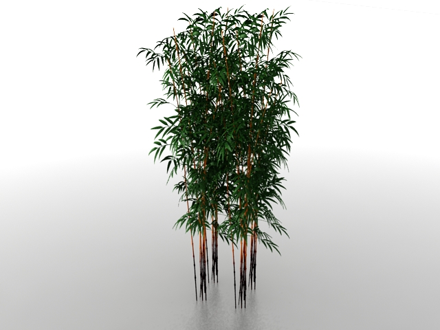 Bamboo grove 3d rendering