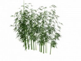 Green bamboo forest 3d model preview