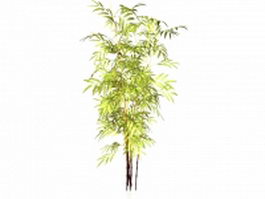 Black bamboo plants 3d model preview