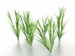 Growing grass 3d model preview