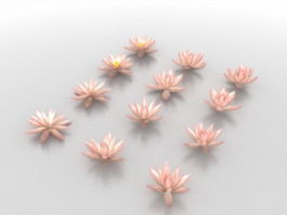 Water lily lotus flowers 3d model preview
