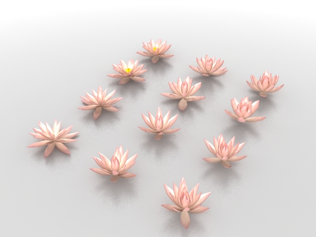 Water lily lotus flowers 3d rendering