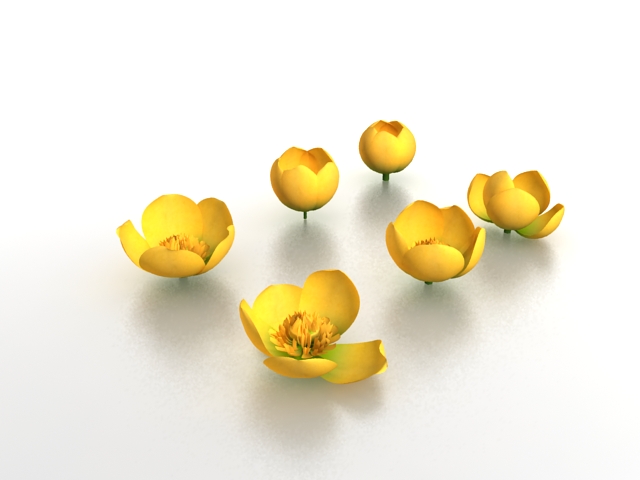 Tulip flowers 3d rendering