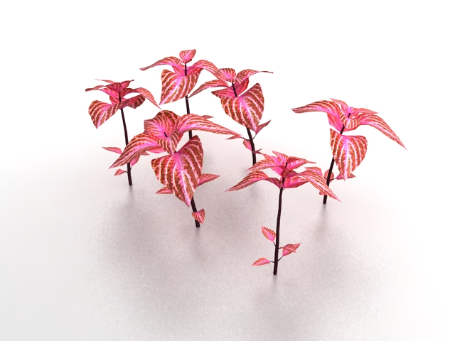 Red plants for landscaping 3d rendering