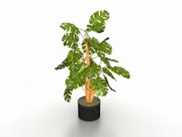 Potted basil plant 3d model preview