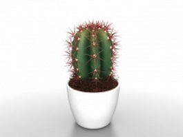 Potted cactus plants 3d model preview