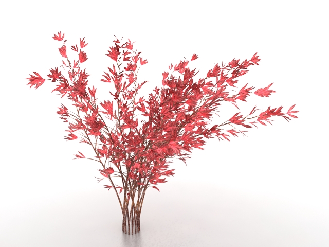 Red leaf birch tree 3d rendering