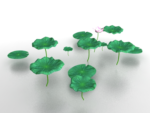Lotus flower and leaves 3d rendering