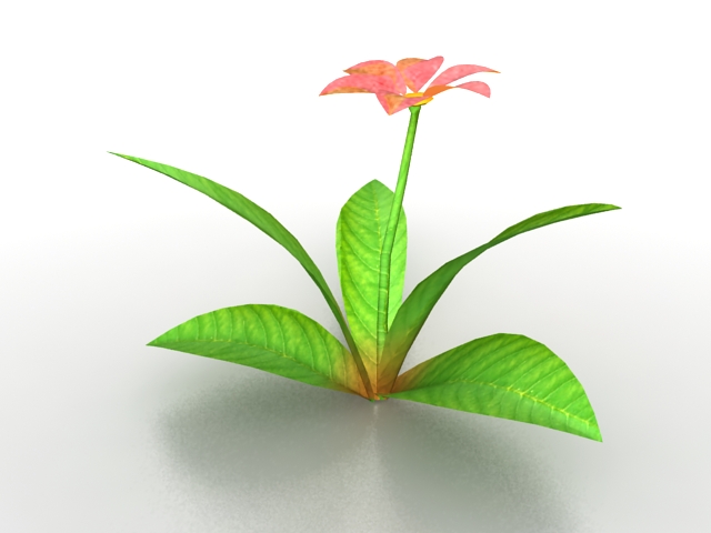 Flower and leaves 3d rendering
