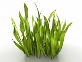Broadleaf grass weeds 3d model preview