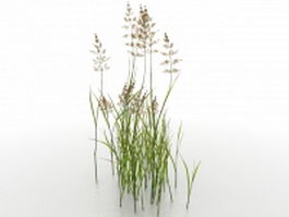 Water reed plants 3d model preview
