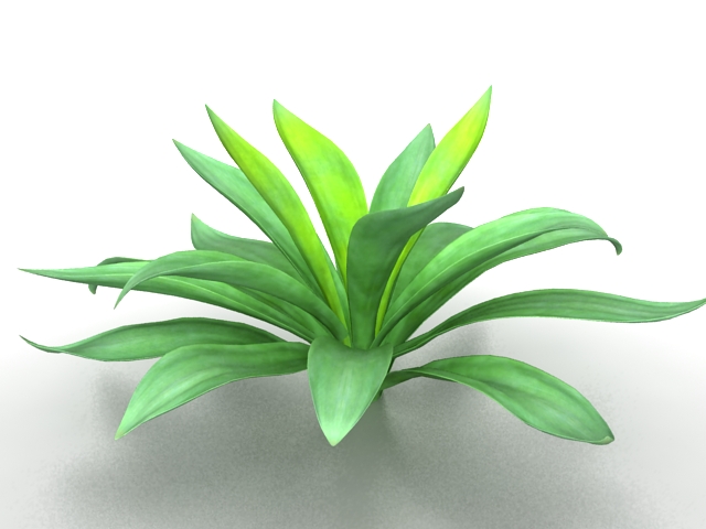 Broadleaf plant 3d rendering
