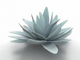 Aloe Vera plant 3d model preview
